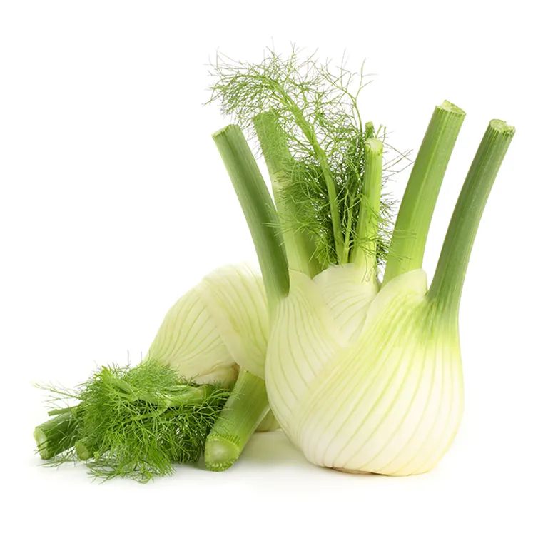 Fennel