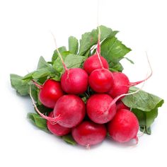 Radishes