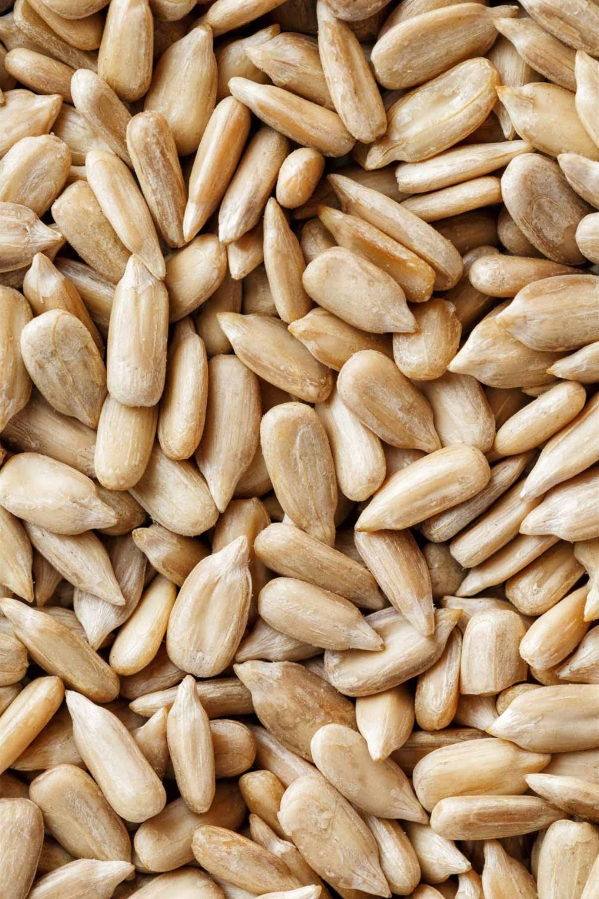 Sunflower Seeds