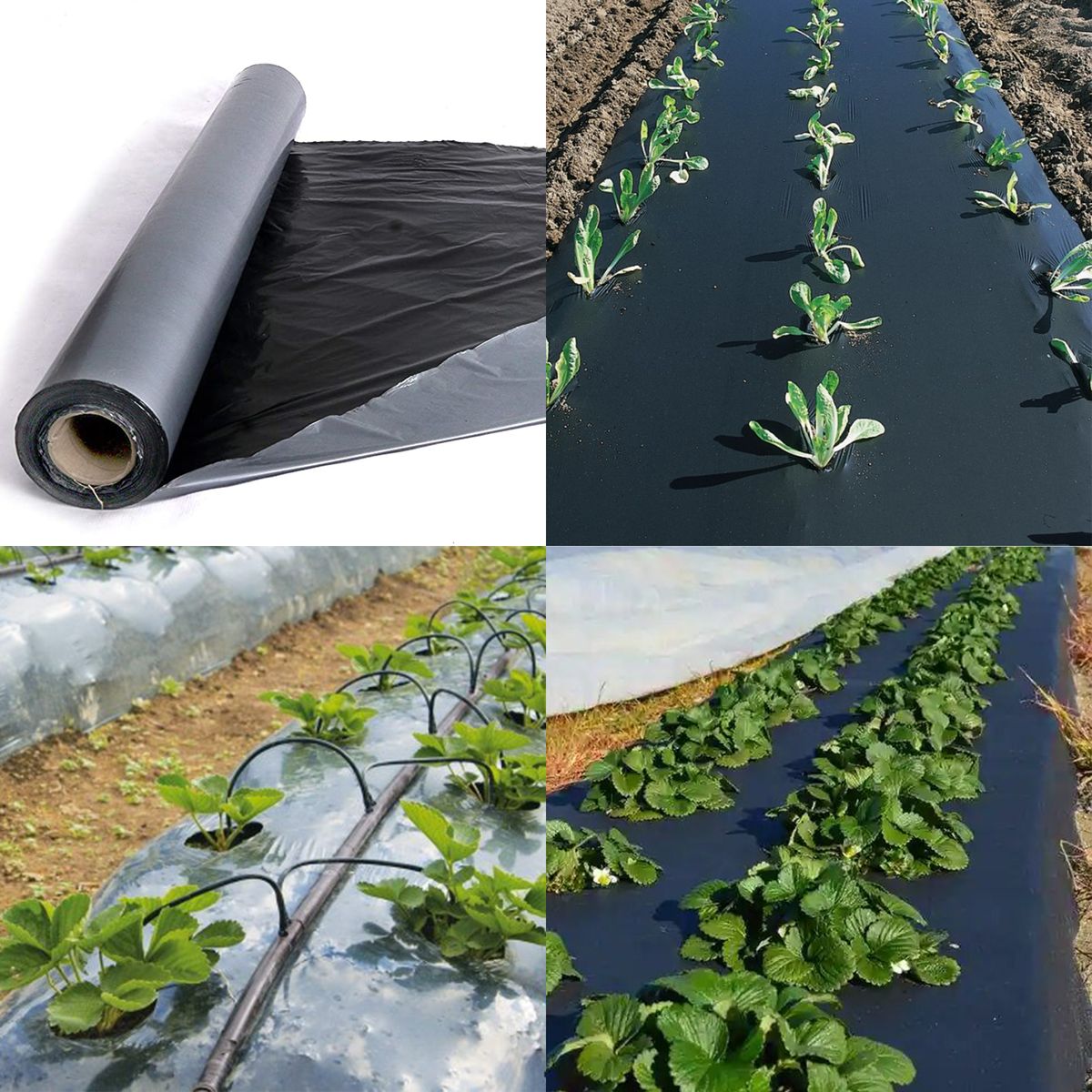 Mulching Film