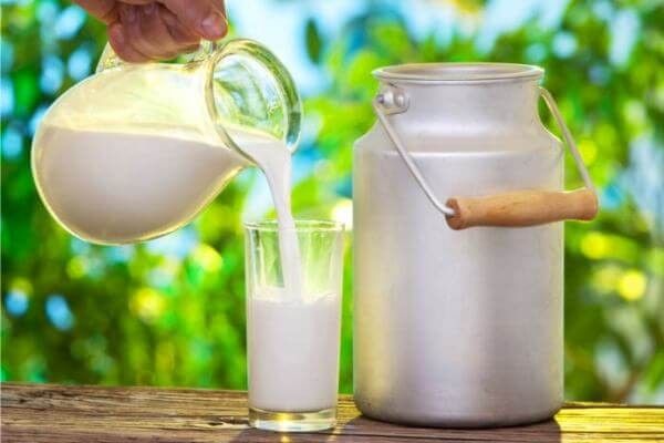 Fresh Milk