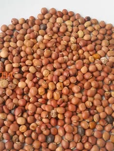 Pigeon Peas