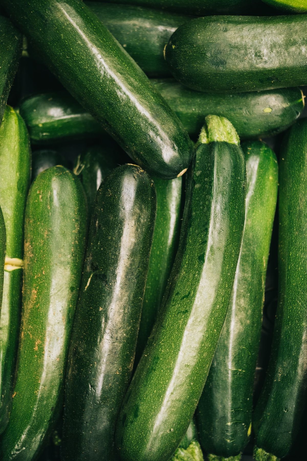 Courgettes