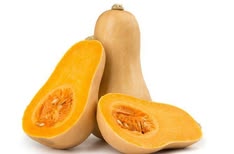 Butternut Squash