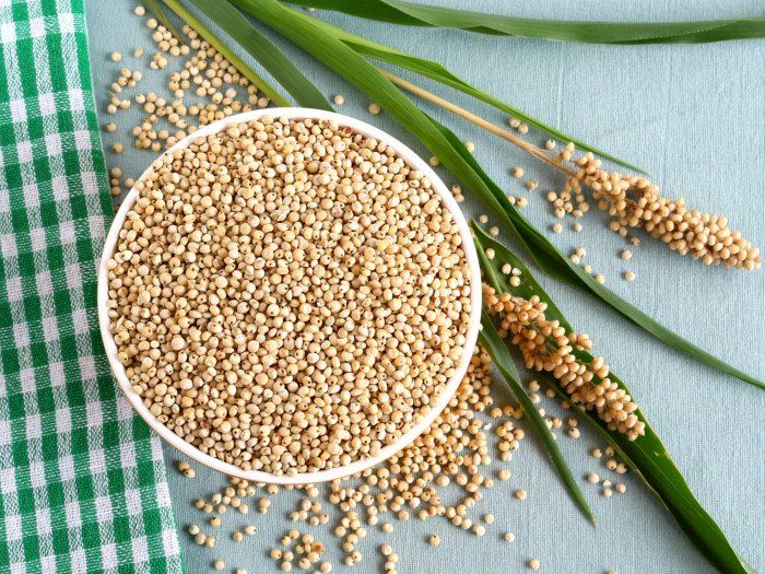 White Sorghum
