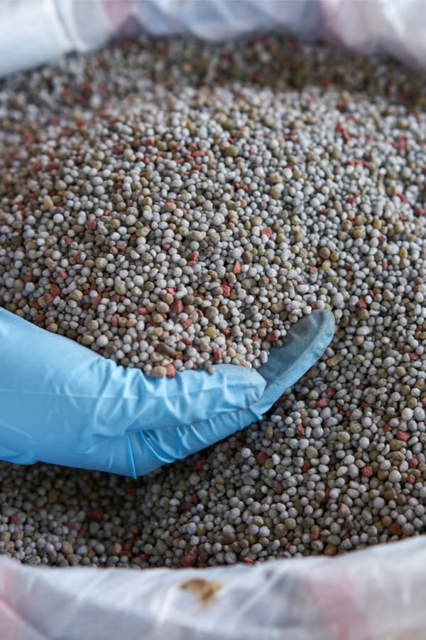 NPK Fertilizer