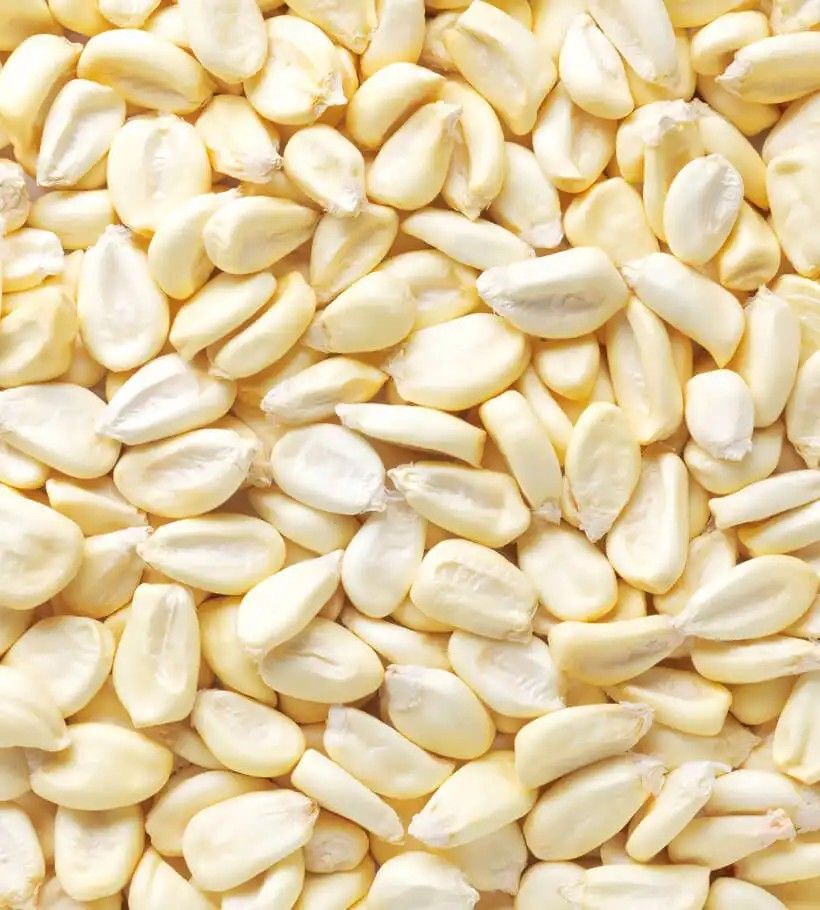 Maize