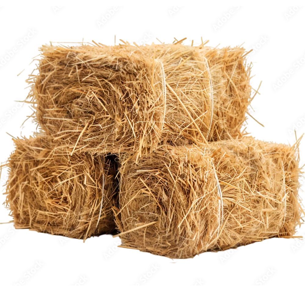 Silage