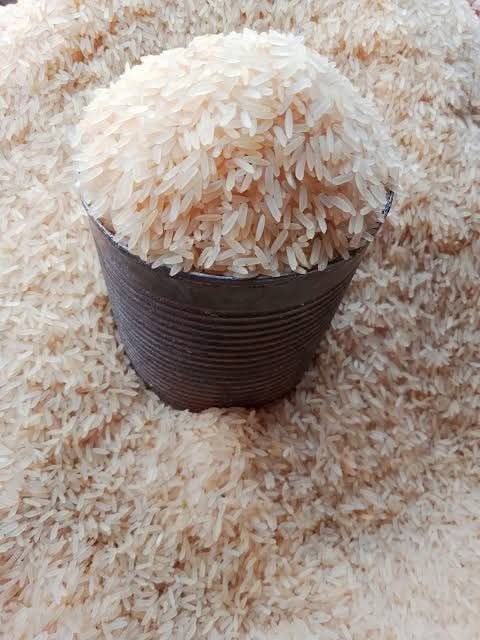 Rice