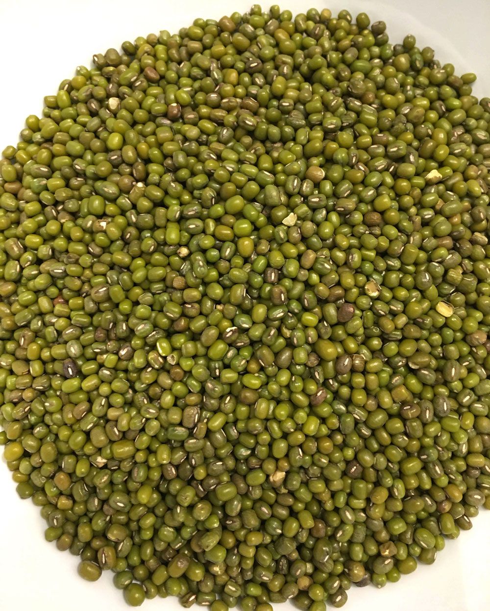 Mung Beans