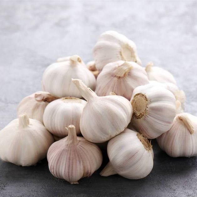 Fresh Garlic