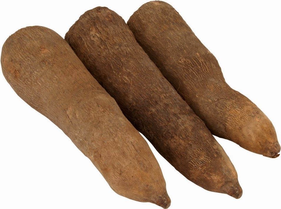Taro