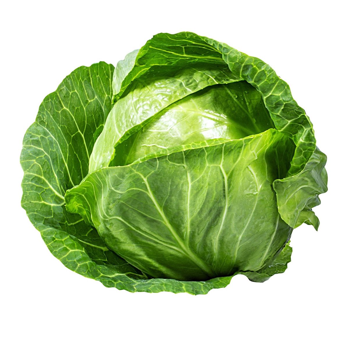 Cabbage