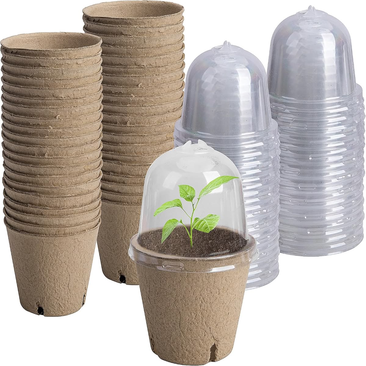 Vegetable Seedling Pots
