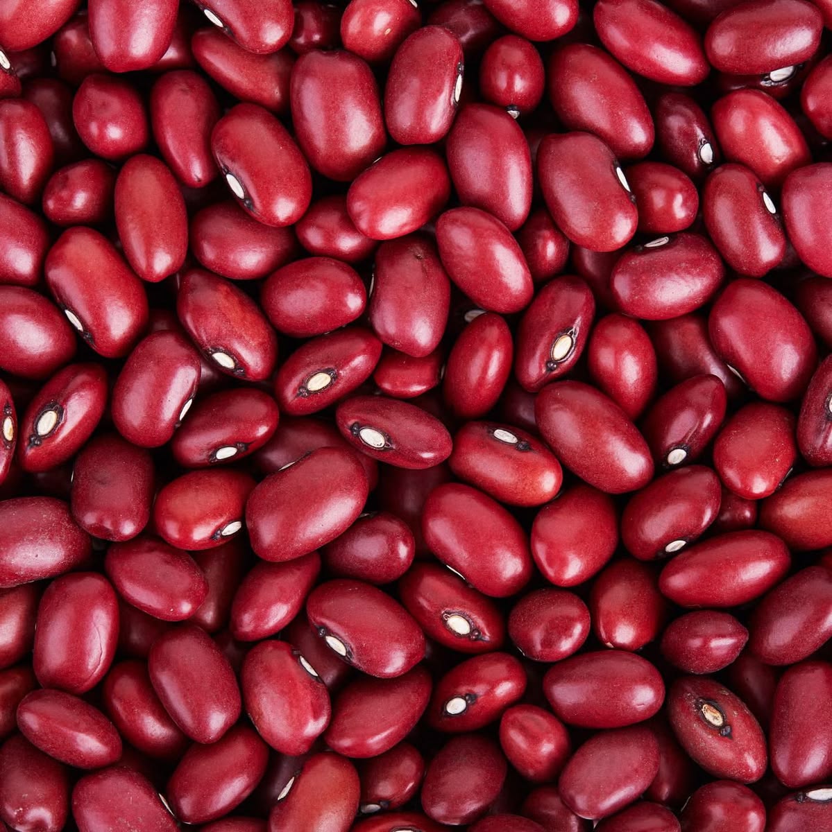 Red Kidney Beans