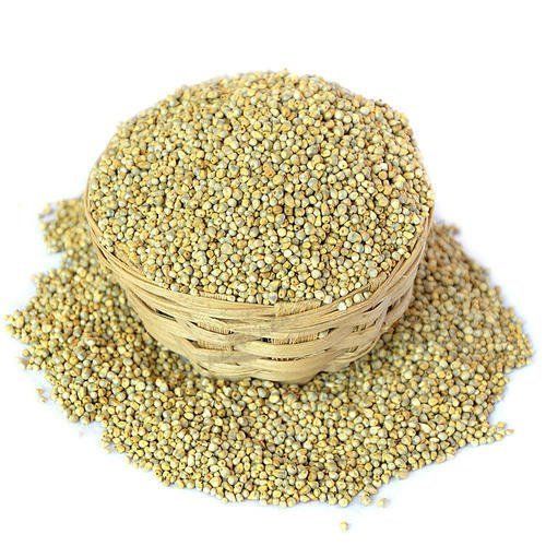 Millet
