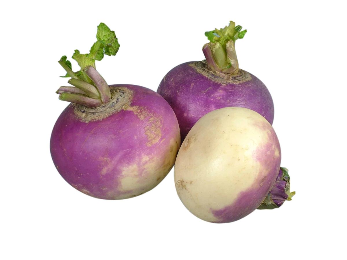 Turnip Greens